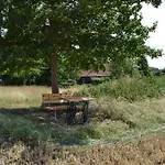 In - Insel Ruegen 3075 Sehlen