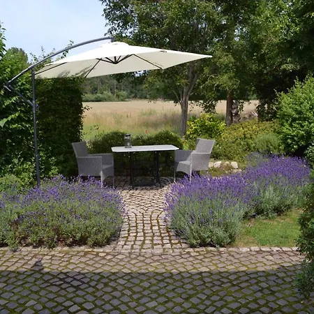 In - Insel Ruegen 3075 * Sehlen