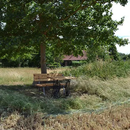 In - Insel Ruegen 3075 Sehlen