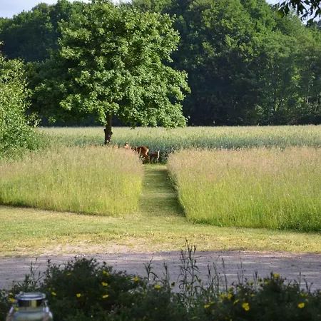 In - Insel Ruegen 3075 Lägenhet *