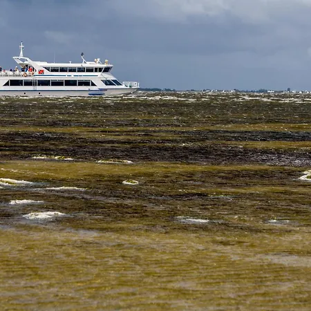 In - Insel Ruegen 3075 * Sehlen